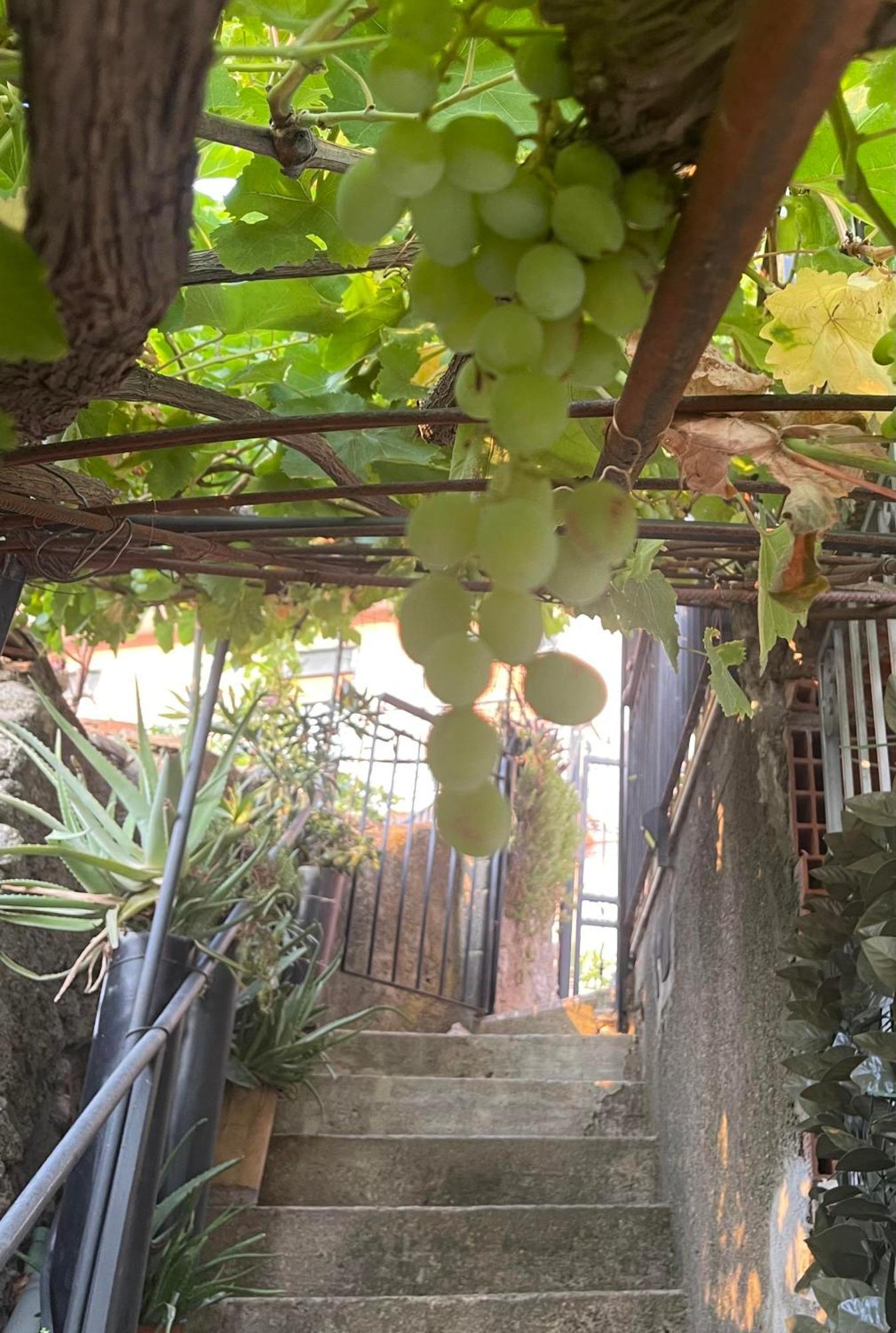 The Secret Garden Villa Forza dʼAgro Exterior foto