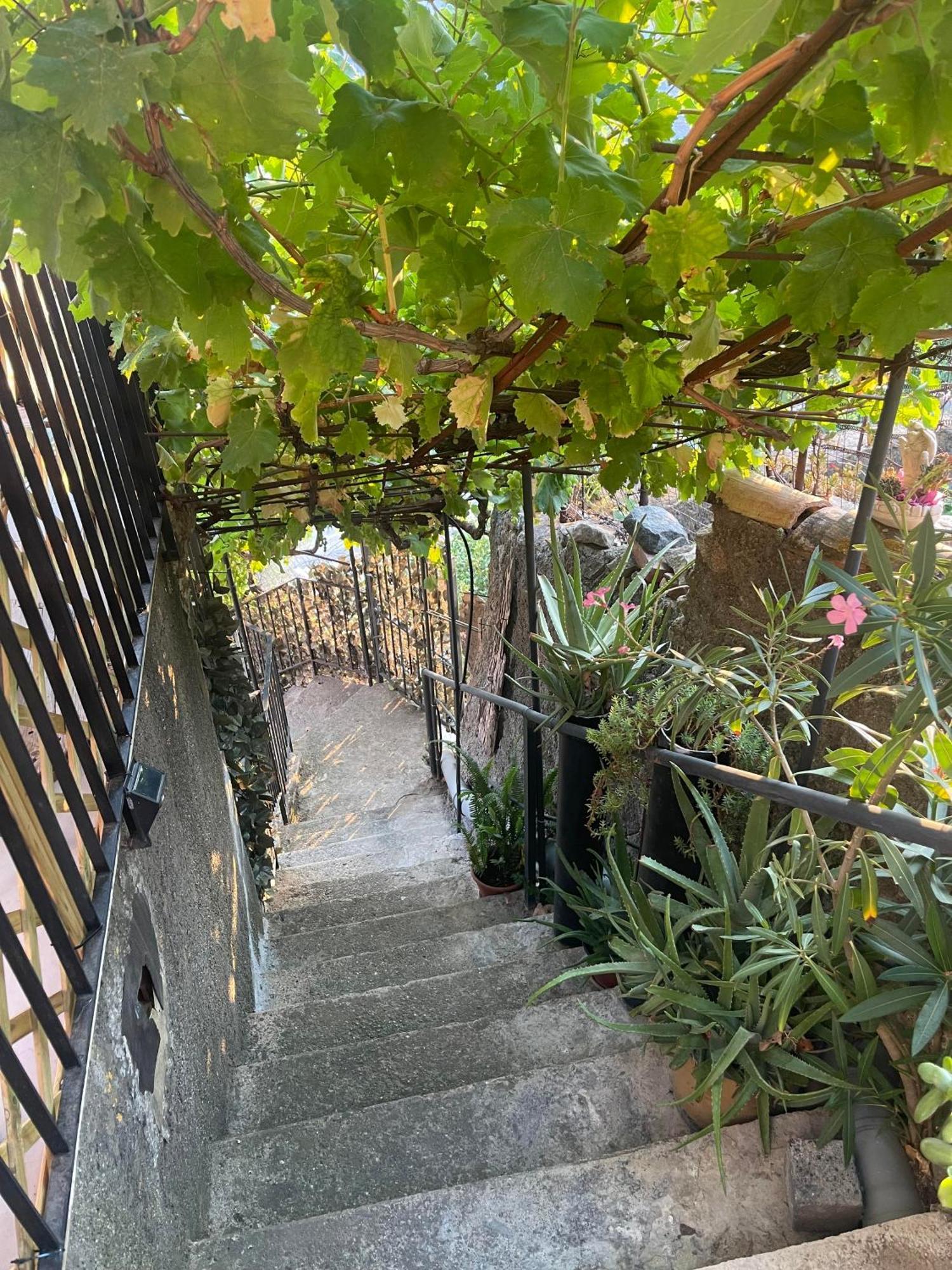 The Secret Garden Villa Forza dʼAgro Exterior foto